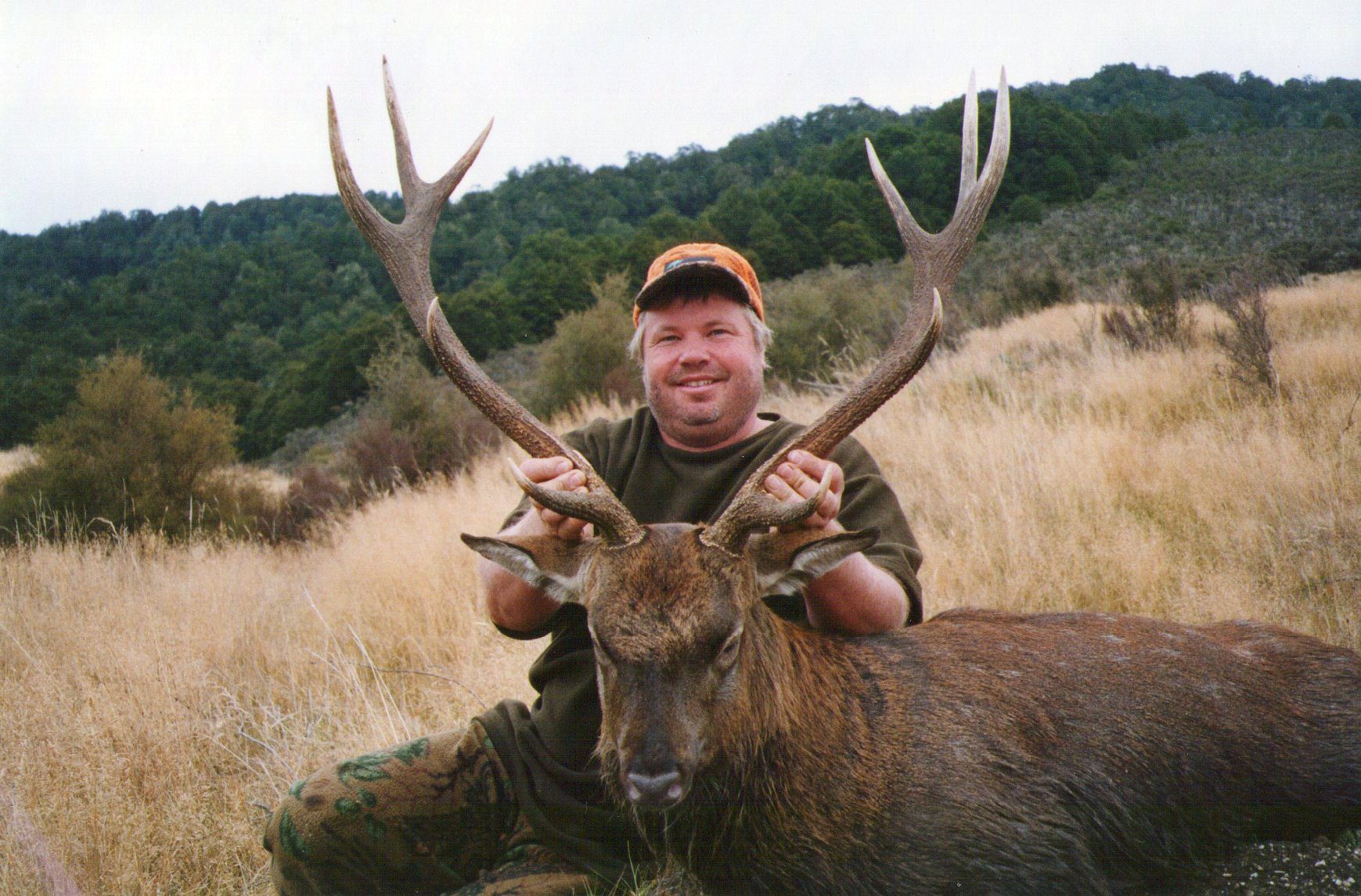 Sika deer hunting in New Zealand