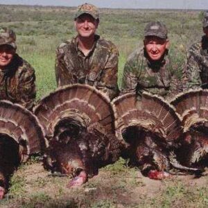 Hunting Turkeys in Texas