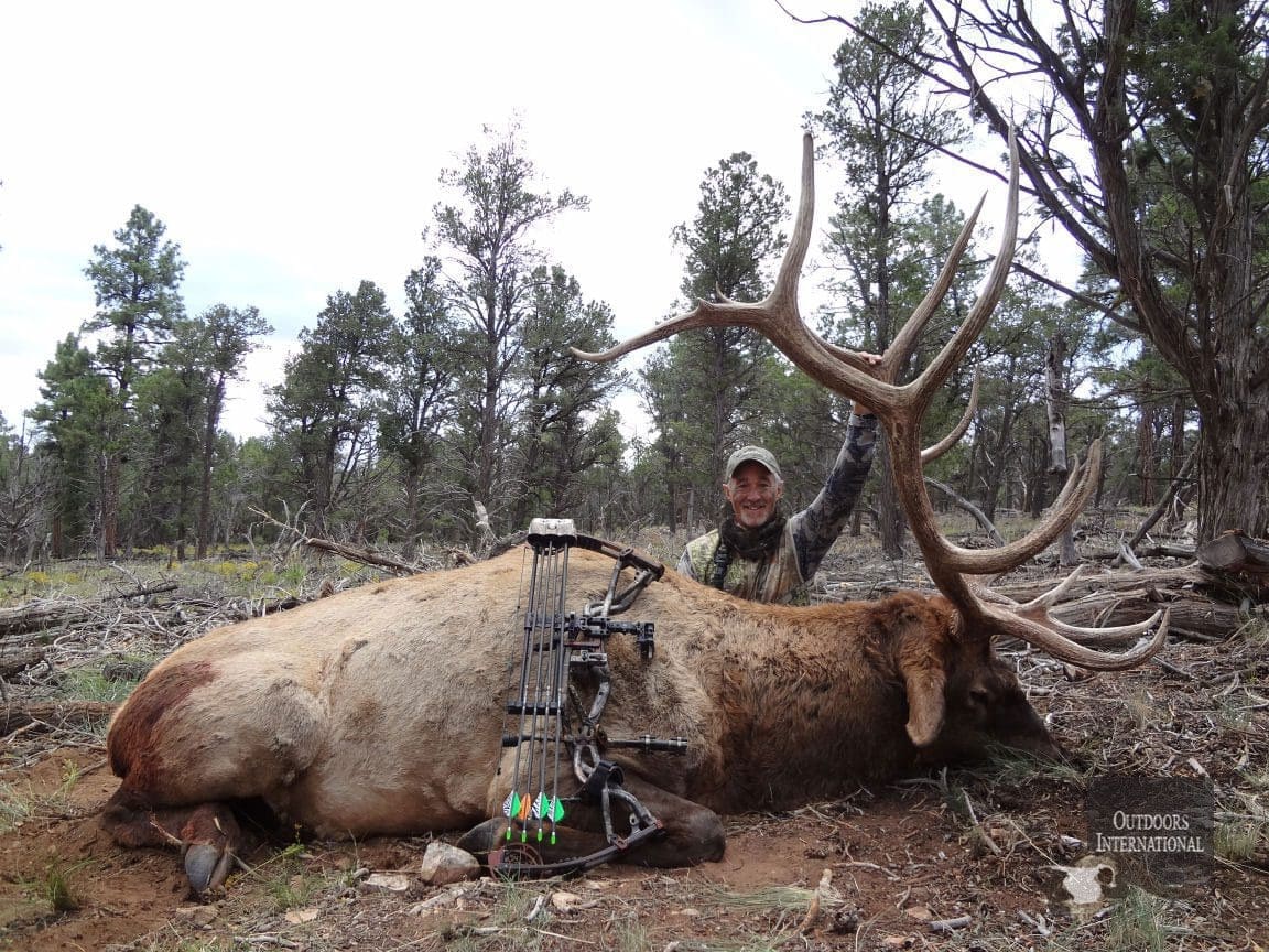 Archery elk hunting in Arizona is incredible. » Outdoors International A giant Arizona archery bull.