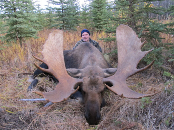 Alberta Moose Hunting Trips » Premier Outfitters