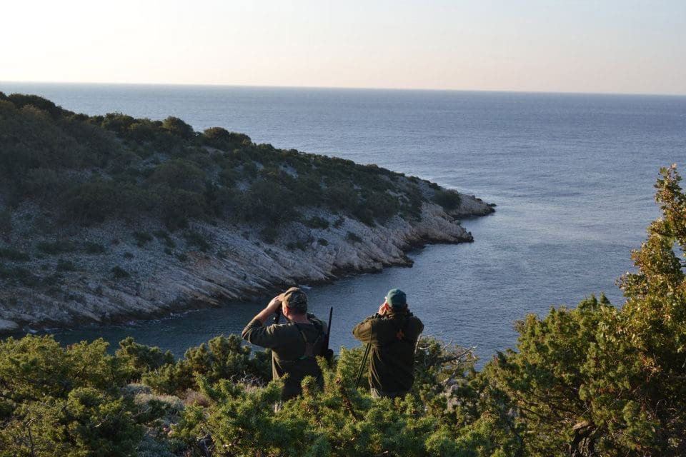 Glassing for mouflon sheep and Balkan Chamois along the Adriatic Coast in Croatia