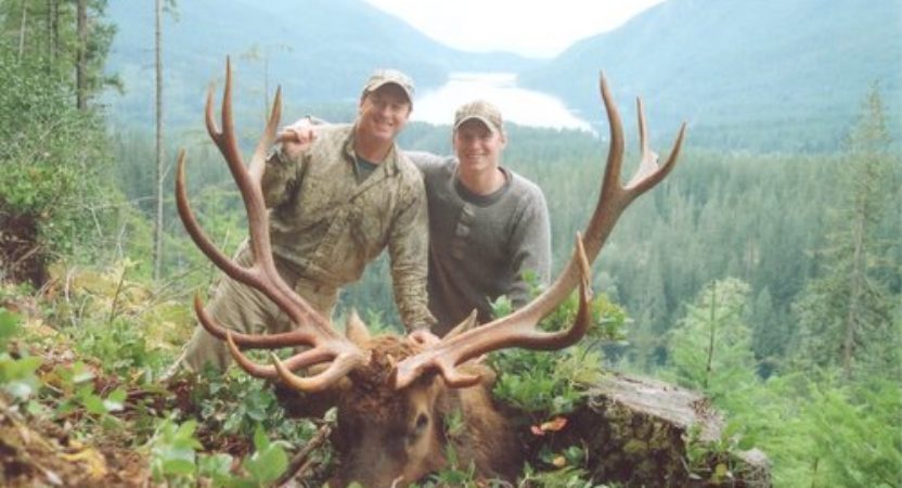 elk roosevelt british columbia hunting bc international outdoors canada coastal outfitters hunts request call