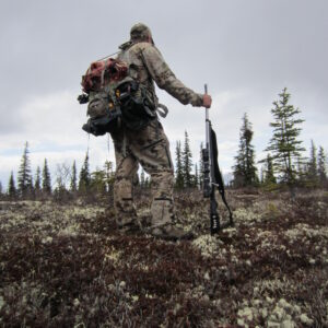 Cory packing out a grizzly bear.