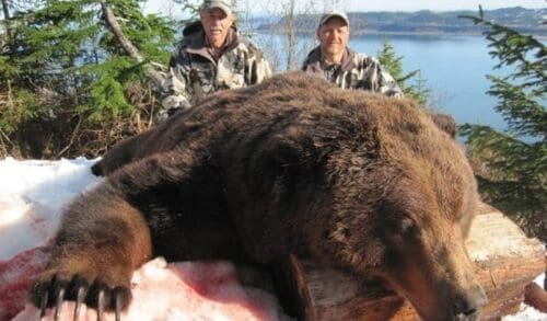 Outdoors International client with a big brown bear