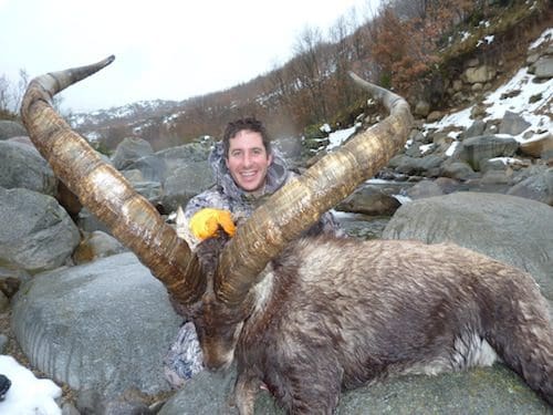 Gredos Ibex hunting in Spain