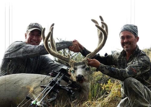 Client Utah-archery-mule-deer-hunting-1 » Outdoors International In the five days of archery mule deer hunting in Utah, I had been inside 75 yards of a 150 inch buck at least once every day and inside 25 yards twice. We had seen a lot of very good bucks with a few we estimated over 180 inches. We never saw less than three bucks over 150 inches every day.
