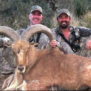 Mike and Cory with a giant they took on a free range West Texas aoudad hunting trip.