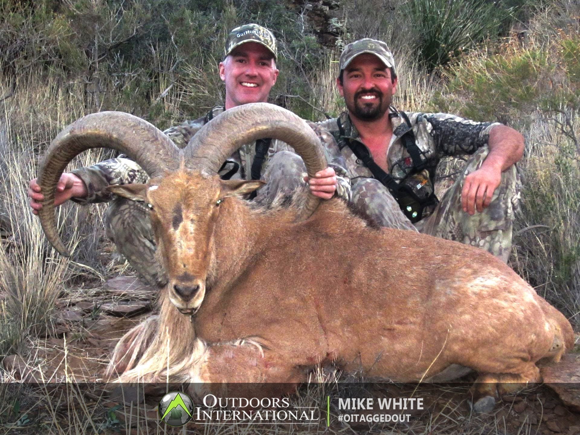 Mike and Cory with a giant West Texas aoudad ram.