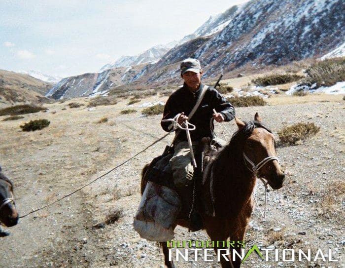 Riding-Horses