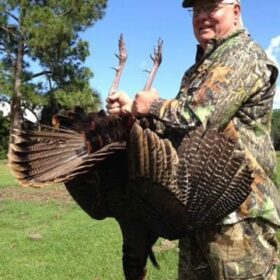 Hunting Osceola turkeys in Florida