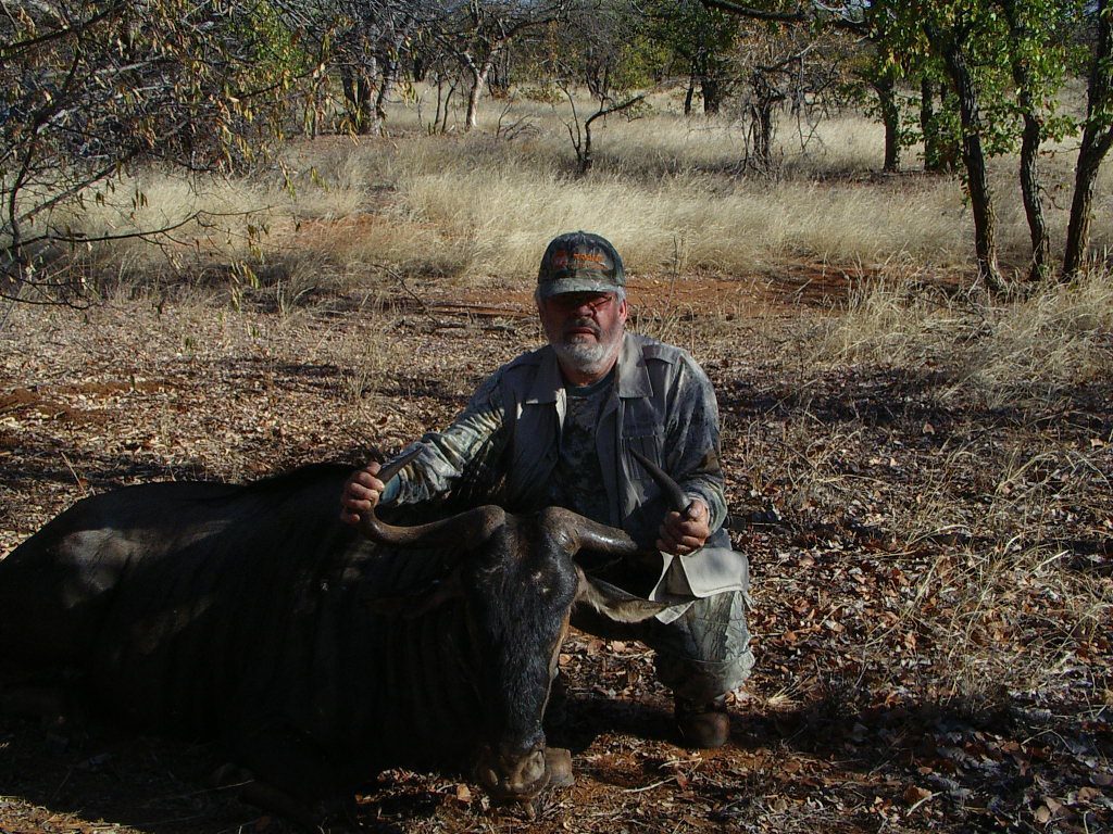 South Africa blue wildebeest hunting