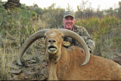 Free-range-West-Texas-aoudad-hunt-Mike white » Outdoors International Mike White in West Texas Aoudad Hunting