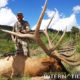 The Top 5 Elk Units in Arizona