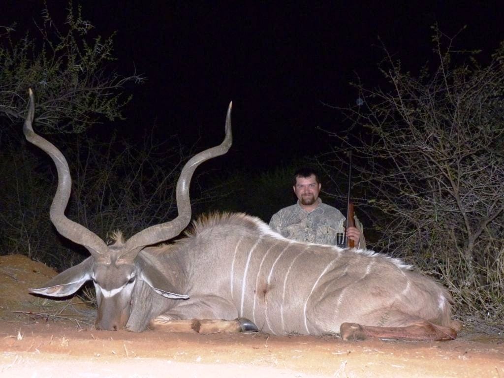 A great kudu