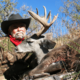Hunting Coues Deer in Arizona