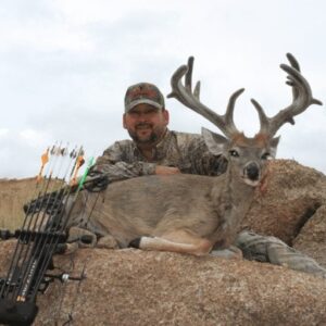 Giant archery velvet coues deer