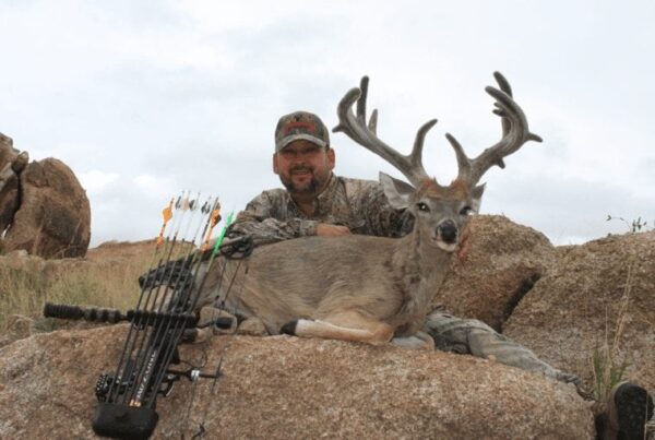 Giant archery velvet coues deer