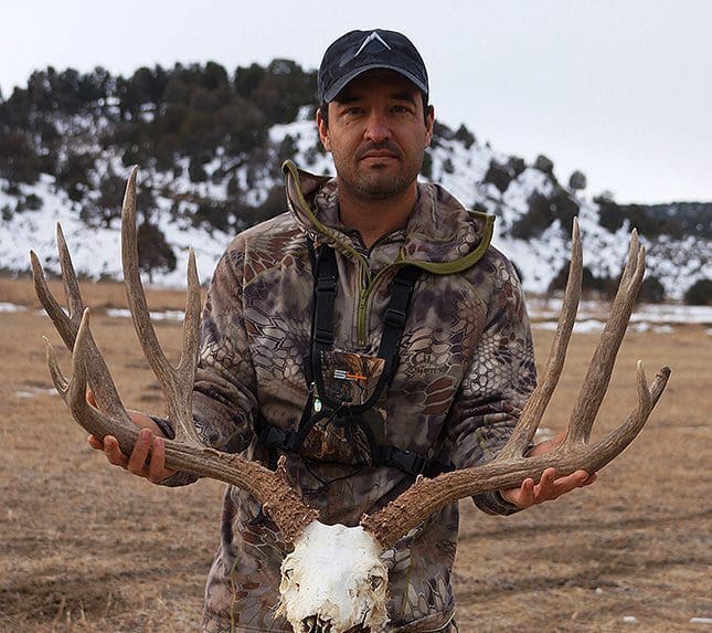 Cory Glauner New Mexico Mule-Deer-Dead-Head » Outdoors International Cory with a big mule deer dead head he found in New Mexico.