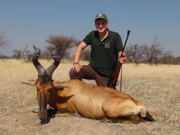 Red Hartebeest hunt in Namibia