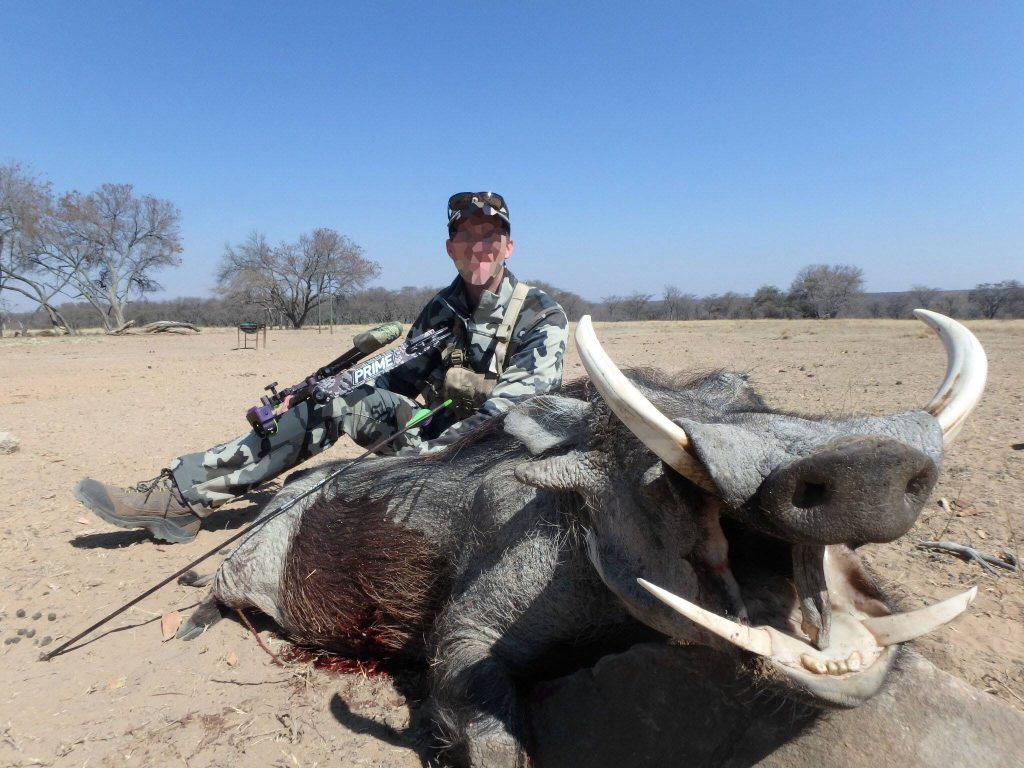 A giant South Africa archery warthog