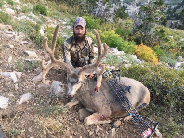 Utah mule deer hunting sits apart from other states because hunters who aren’t expecting a Boone and Crockett muley can hunt hard during the general season, and have a decent opportunity to kill a giant deer.