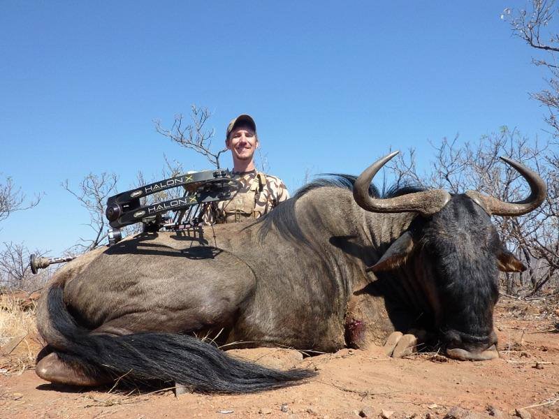 Ty Cameron with a big archery Blue wildebeest