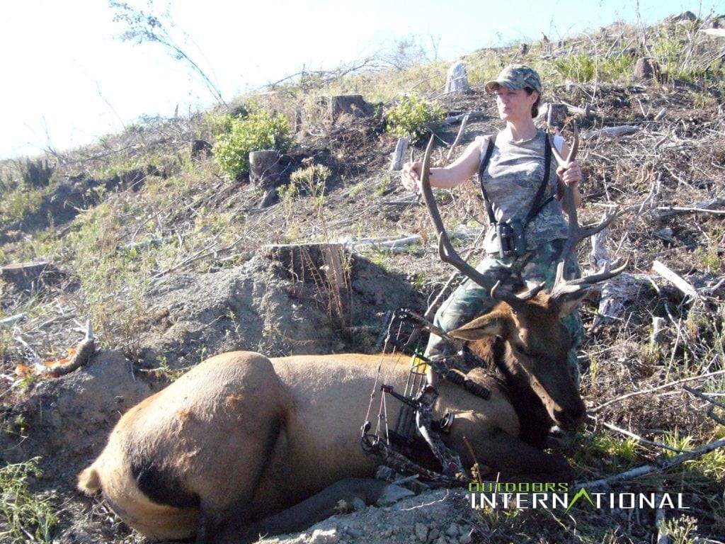 Oregon Archery Elk Hunt » Outdoors International Approved Outitter