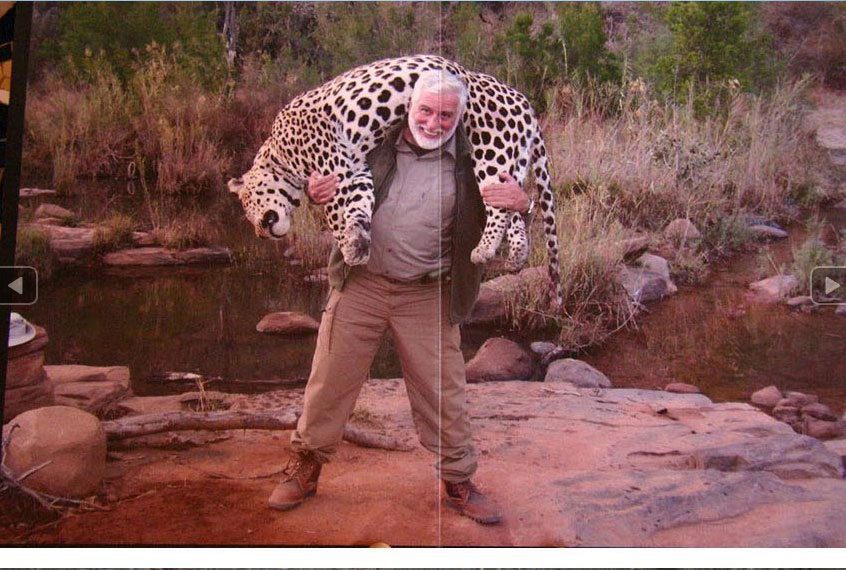 A nice big leopard