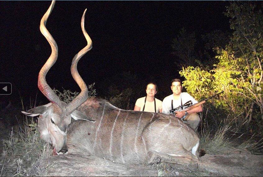 Kudu are one of the most impressive Spiral Horned Antelope of Africa