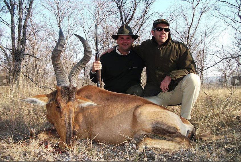 Red hartebeest hunting