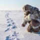 Best Polar Bear Hunt in the World