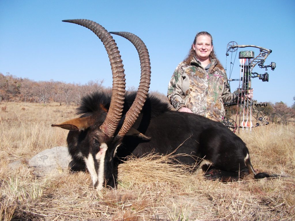 Sable hunting Sable hunting