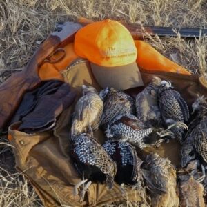 Pre-Scouted, Wild Gambel’s, Scaled, and Mearns’ Quail Hunts (with Mearns typically being the focus).