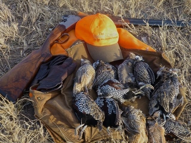 Pre-Scouted, Wild Gambel’s, Scaled, and Mearns’ Quail Hunts (with Mearns typically being the focus).