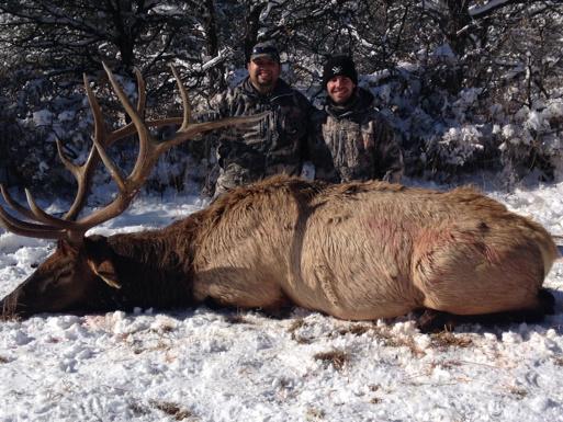 Jared with his New Mexico bull