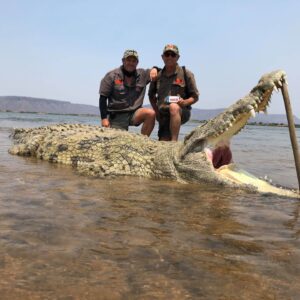 mozambique crocodile hunting