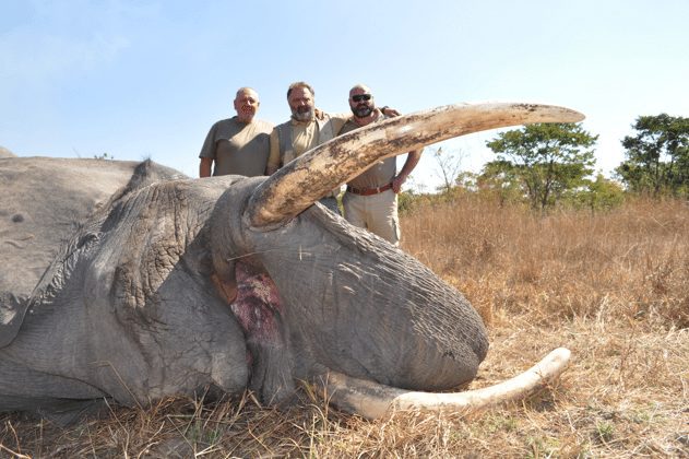 Mozambique elephant hunts
