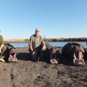 Hippo hunting in Mozambique