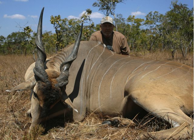 Livingstone Eland hunting