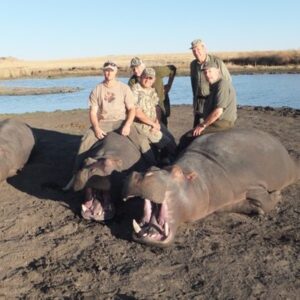 Hippo hunting in Mozambique