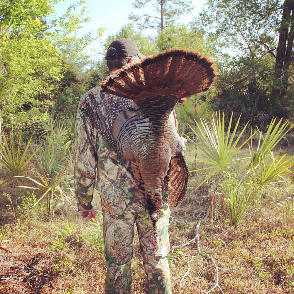 Turkey hunting in Florida