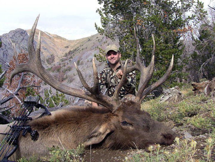 Steve Speck with an archery elk