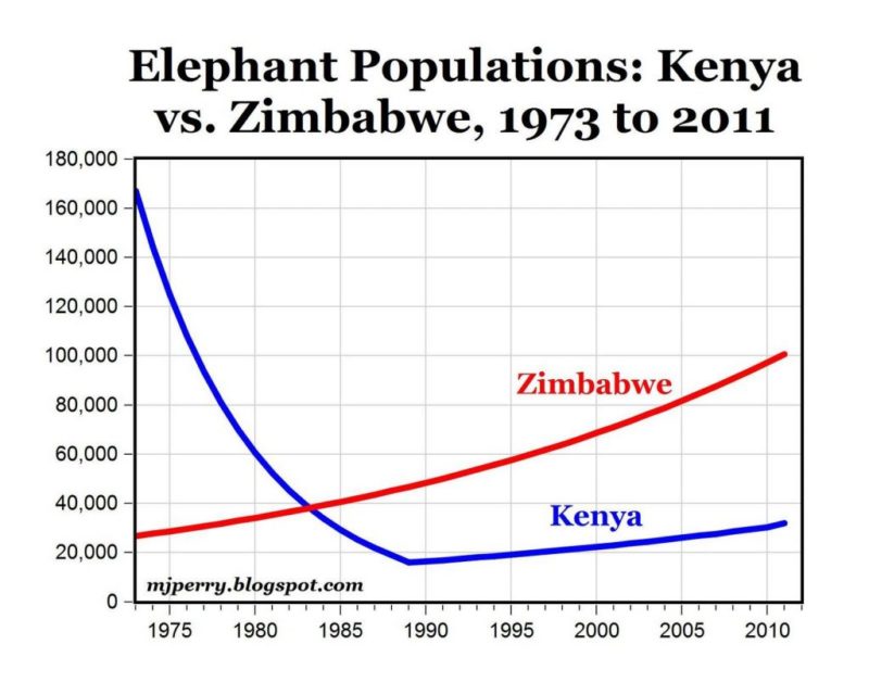 elephant-numbers-zimbabwe-kenya-chart » Outdoors International Elephant population trends in Kenya