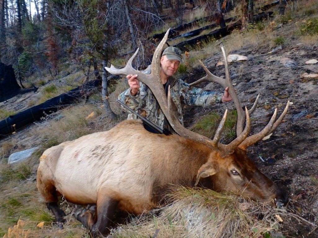 A big Idaho elk