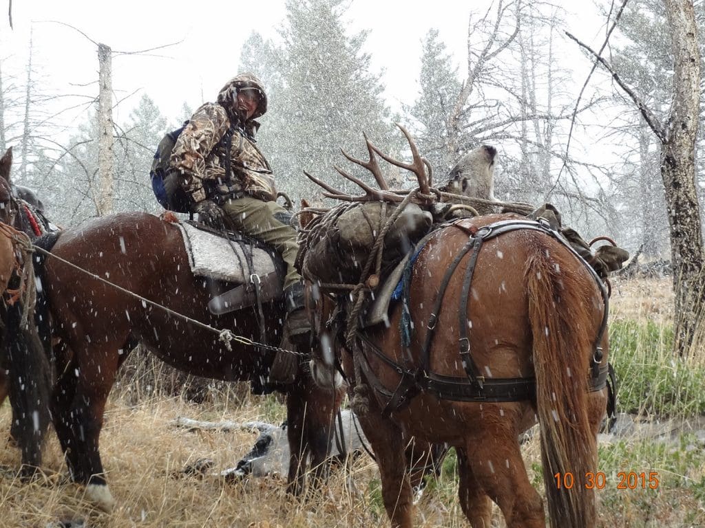 Idaho 2015 mule deer Packing out a deer on horses