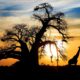 Why Daily Rates are the Norm in Africa