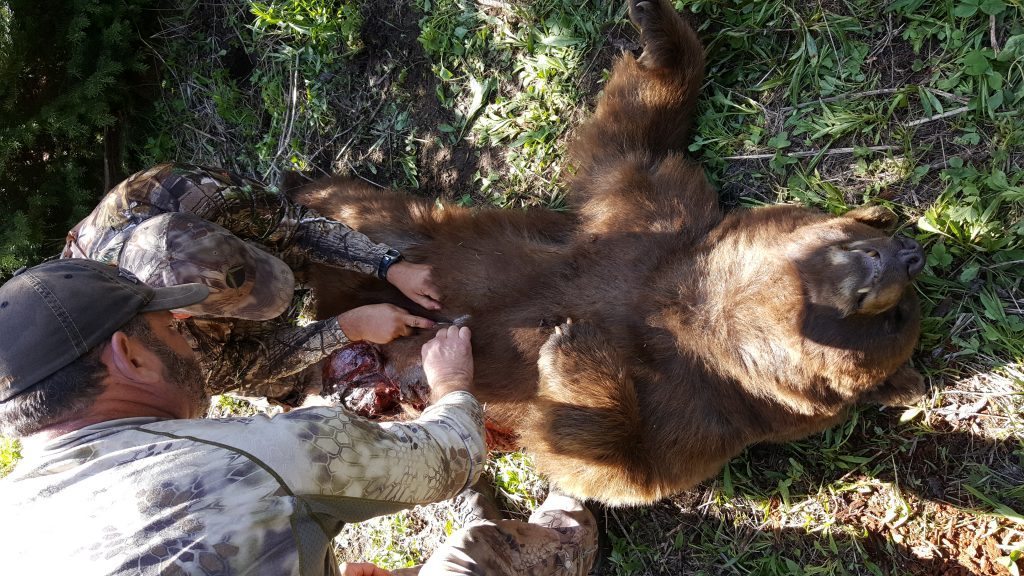 Cory and Russ skinning Mat's bear