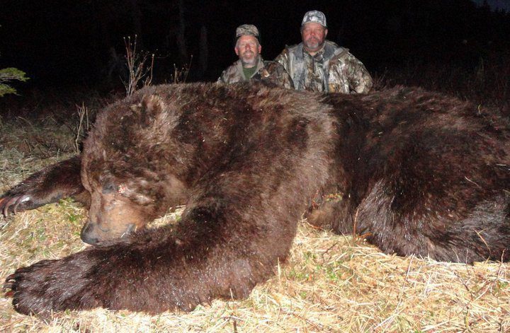 Brown Bear Hunting Trips