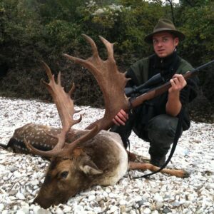 Fallow Deer Hunting in Croatia