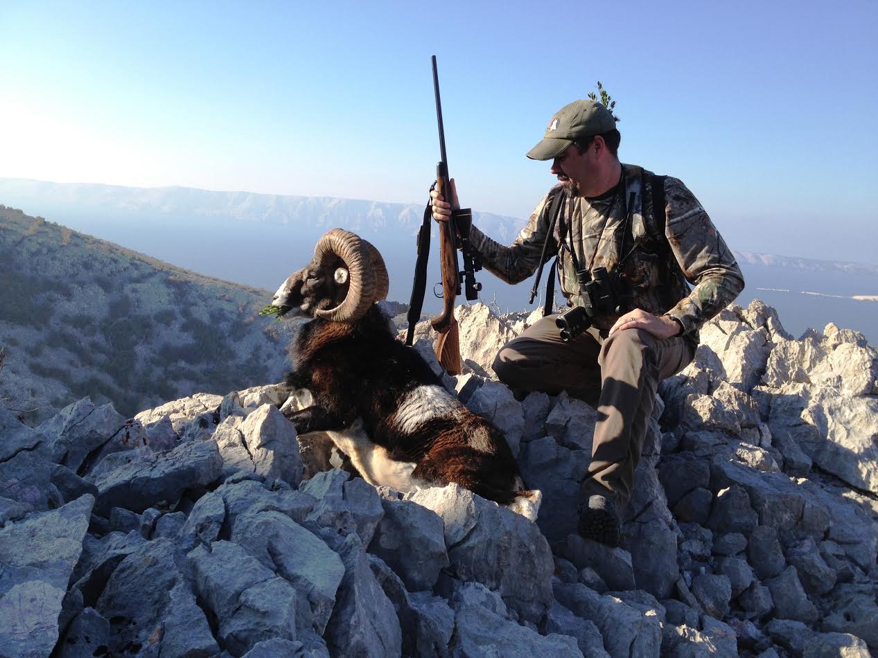 Hunting free range Mouflon Sheep in Croatia